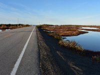 7  A l'heure dorée, arrêt aux Tourbières de Havre-St-Pierre, un peu avant le village le long de la route 138.