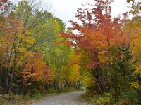 12  La piste menant à l'érablière.