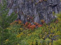 4  Du rouge accroché à la falaise.
