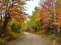 9  L'automne au Québec vaut vraiment le coup et ressemble aux photos que l'on peut en voir.