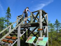 5  Belvédère de la Tourbière Arborée. Nous apprenons notamment que la tourbe est utilisée pour la culture de la canneberge ("cranberry") qui nécessite de grandes surfaces inondables !
