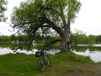 113  A la fin juin, balade en vélo dans le sud-ouest de Québec, dans les quartiers de l'Ancienne-Lorette et de Cap-Rouge. Ici, au bord du Lac St-Augustin.