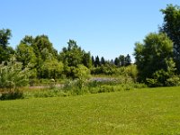 125  Vue sur l'Edifice Price qui domine le Vieux-Québec, entre les arbres.
