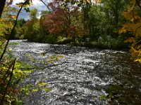 80  Belle luminosité sur cette section vive de la Rivière St-Charles (RII-RIII), bien différente de celle que nous avons parcouru en amont (cf. onglet dédié) qui était toute calme !