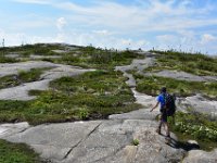 10  Taïga boréale sur le plateau sommital.  La randonnée de la Montagne-Blanche permet de rencontrer des paysages très variés (chutes, lac, forêt et taïga).