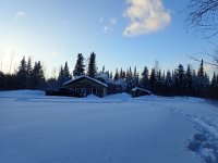16  Nous avons parcouru environ 60 km sur les deux jours, avec une nuit dans un chalet dans les bois. Notre guide Jérôme est plein d'anecdotes et d'apprentissages sur la vie de musher.