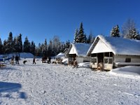 2  Rendez-vous sous un grand soleil au Chenil du sportif (http://www.chenildusportif.com/) pour prendre connaissance avec notre guide musher Jérôme et notre meute de chiens pour ces deux jours d'aventure :)