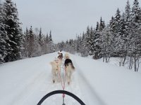 20  C'est reparti dimanche matin. La température et la météo nous ont permis de bien en profiter, avec deux journées complétement différentes : grand soleil et froid le samedi (-20°C) et plus doux le dimanche avec de la neige tout le jour, une ambiance vraiment magique !!