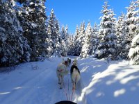 5  La région de Charlevoix est connue pour son enneigement exceptionnel, ce que nous avons pu vérifier !