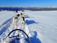 6  Traversée d'un plateau avec vue sur les montagnes du Bouclier Canadien.