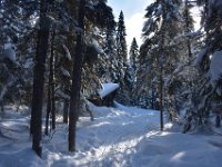 8  Les pauses dans les petits chalets chauffés au poêle tout au long du parcours sont très appréciables. Ma cabane au Canada :) Quand on prend froid, rien de tel qu'une bonne montée dans laquelle il faut aider les chiens en poussant le traîneau pour se réchauffer !
