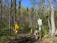 2  Au départ des sentiers d'un grand classique de Lanaudière qui mène au sommet de la région, la Montagne Noire, 887m. Une boucle de 13km, au départ près de St-Donat, sur une section du Sentier National.