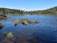 6  Le Lac Lézard, qui abritent canards, castors et visons.