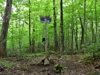 10  En forêt.