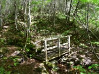 2  Le début de la randonnée s'effectue en forêt et longe la Rivière Richelieu.