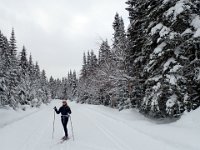4  La piste est mangifique au milieu des sapins enneigés :)