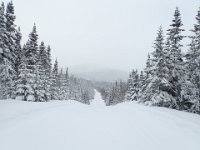 6  Sur la piste bleue (9km).