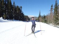 7  Retour à la Forêt Montmorency début mars, sous le soleil cette fois !