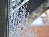 10  Journée froide et ensoleillée : des dendrites de glace se sont formées sur les vitres de l'appartement. Ce phénomène se produit sur les vitres minces, quand l'air est humide et que la différence de température entre intérieur et extérieur est élevée.