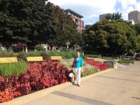 129  Fin août dans le Jardin Jean-Paul L'Allier, dans le quartier de Saint-Roch.