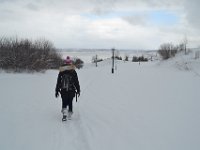 66  Promenade sur les Plaines d'Abraham dans la poudreuse.