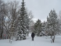 67  Les paysages sont sublimés par cette neige fraîche et un doux calme règne grâce à la couverture neigeuse.