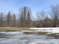 72  Dix jours après, aux alentours du 20 avril, printemps montre le bout de son nez et les températures passent de -10°C à +10°C ! Douceur et fonte ont pris la place de la neige.