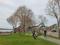 83  A la mi-mai, sortie vélo pour découvrir les rives du Saint-Laurent par le "Corridor du Littoral" (rive nord) et le "Parcours des Anses" (rive sud). De belles sculptures de chevaux agrémentent la piste.