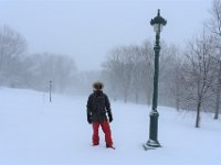 1  Première grosse tempête de neige de l'année en ce 12 janvier à Québec. Direction les Plaines d'Abraham pour braver les éléments !