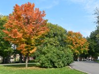 107  Le 26 Septembre sur les Plaines d'Abraham.
