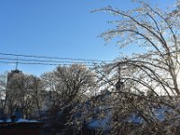 39  Le 11 mars, après un épisode de pluie verglaçante. En cette période de transition entre hiver et printemps, la neige cède parfois la place à la pluie verglaçante, un phénomène qui apparaît lorsque l'air des couches hautes est au-dessus de 0°C (ce sont donc des gouttes de pluie qui se forment et non des flocons) alors que l'air des couches basses et le sol sont à 0°C ou moins. La pluie se transforme alors instantanément en une fine pellicule de verglas lorsqu'elle touche le sol. Les arbres, comme sur la photo, mais aussi les vitres, les carosseries des voitures, etc., sont alors recouverts de glace et brillent au soleil :) Attention par contre sur les trottoirs, de vraies patinoires ..!