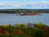 160  Vue sur la Rive Sud du St-Laurent depuis l'extrémité Sud des Plaines d'Abraham.