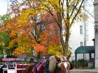 183  Balade en calèche dans le Vieux-Québec (départ rue St-Louis) avec Johnny Bissonnette, le dernier cocher à opérer à son propre compte après la faillite des Calèches de Québec. Il nous parle de potentielles reprises, on espère que cela aura lieu car le Vieux-Québec ne serait plus le même sans le pas des chevaux que l'on entend résonner et que l'on découvre au détour d'une rue !