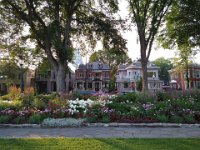 75  Les belles fleurs du Parc Jeanne-Mance.