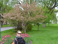 22  Dans le Parc des Plaines d'Abraham (Champs de Bataille)
