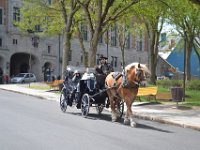 27  Le lendemain matin, retour dans la Vieille-Ville où les calèches agrémentent la visite du bruit des sabots des chevaux.