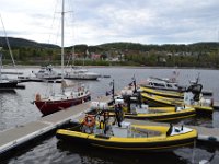 5  Rien à l'horizon cette soirée-là, nous aurons plus de chance le lendemain matin en zodiac depuis le port :) ! (Cf. Onglet 2017 - Voyage à travers le Québec)