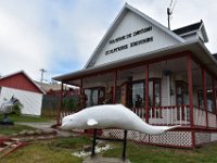 20  Le Parc marin du Saguenay-St-Laurent est un sanctuaire pour de nombreux mammifères marins tels la baleine à bosse, le rorqual bleu ou encore le béluga (baleine blanche) ! Un bon poste d'observation se situe dans le secteur Ste-Marguerite du Parc National du Saguenay (Rive Nord), à faire. [25 Juillet 2021]