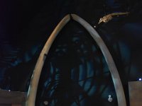 42  La salle d'exposition du CIMM s'ouvre sur les os encadrant la bouche d'une baleine bleue, impressionnant ! Pour les intéressés, rendez-vous sur leur excellent site internet sur l'observation et la protection des baleines du St-Laurent : https://baleinesendirect.org/ pour en apprendre davantage sur ces mammifères marins (comportement, physiologie, différentes espèces) et même suivre l'évolution en direct de leur présence dans les eaux du Golfe du St-Laurent !