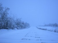 1  Route de retour à Whitehorse sur la Klondike Highway, sous une formidable tempête ! Nous mettons 4h à atteindre Pelly Crossing et roulons au pas. Le vent souffle fort et des congères se forment rapidement sur la route. Rester concentrés sur le tracé de la route au milieu de tout ce blanc n'est pas chose aisée, belle expérience de conduite !