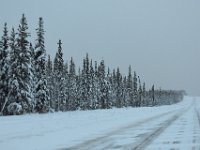 3  Nous avons encore eu de la chance sur la Klondile Highway dans le sens du retour, avec un lynx observé pendant plusieurs secondes en bord de route (la première fois que nous en voyons un à l'état sauvage, le lynx est un animal très discret qu'il est rare de pouvoir observer) et deux orignaux qui trottaient sur le côté (pas de photo cette fois-ci) :)