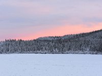 7  Magnifique lumière rosée avec le soleil couchant. Le soleil étant rasant sur l'horizon en hiver, une belle luminosité vraiment magique s'en dégage (lumière bleue le matin, dorée en journée, rose le soir).