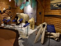 15  De ce côté-ci, le caribou de la toundra, l'ours polaire et des squelettes de béluga et de baleine boréale.