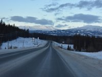 34  Nous repartons sur la Klondike Highway en début d'après-midi direction la réserve faunique Yukon Wildlife Preserve !