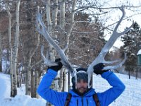 63  Bois de caribou !