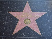 6  Les fameuses étoiles du Walk of Fame (2600 à ce jour) sont attribuées selon 5 catégories dont on peut voir le symbole dans le cercle (ici le cinéma, il y a aussi la radio, la TV, le théâtre et les disques). La tradition date de 1958 pour redynamiser le quartier.