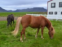 19  Retour sur la R54 direction la péninsule du Snaefellsnes. Arrêt à la ferme Snorrastadir pour une balade jusqu'au cratère d'Eldborg.