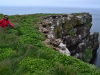 15  Les macareux nichent et élèvent leurs petits dans des terriers au sommet des falaises. Il ne faut donc pas trop s'approcher pour ne pas risquer de les effondrer.
