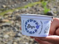 21  Skyr :)
