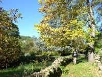 12  Samedi matin, petite balade direction le village de Banne et son fort : un sentier part depuis la chambre d'hôtes. Les couleurs de l'automne sont magnifiques.